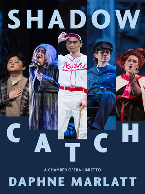 cover image of Shadow Catch